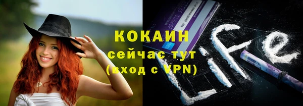 гашик Арсеньев