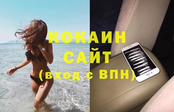гашик Арсеньев